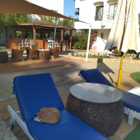 фото из отзыва ID 2669352