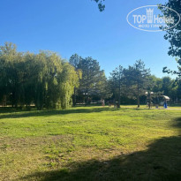 фото из отзыва ID 2669357