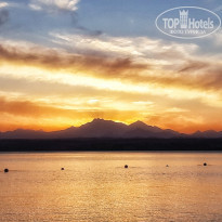 фото из отзыва ID 2669370