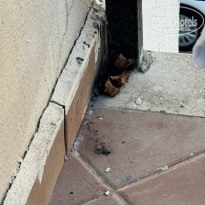 фото из отзыва ID 2669375