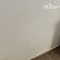 фото из отзыва ID 2669375