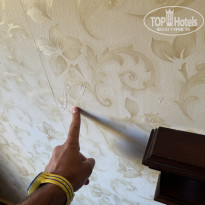 фото из отзыва ID 2669375