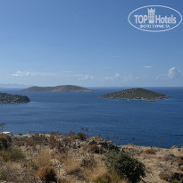 фото из отзыва ID 2669375