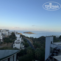 фото из отзыва ID 2669375