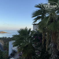 фото из отзыва ID 2669375