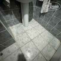 фото из отзыва ID 2669375