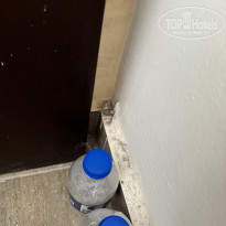 фото из отзыва ID 2669375