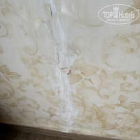 фото из отзыва ID 2669375