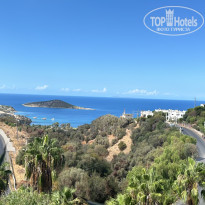 фото из отзыва ID 2669375