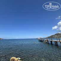 фото из отзыва ID 2669375