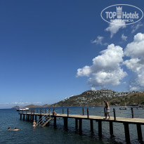 фото из отзыва ID 2669375