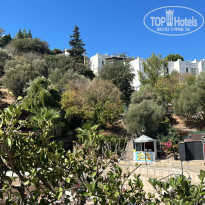 фото из отзыва ID 2669375