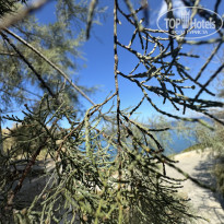 фото из отзыва ID 2669375