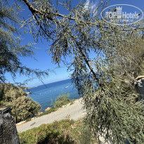 фото из отзыва ID 2669375