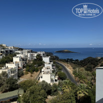 фото из отзыва ID 2669375