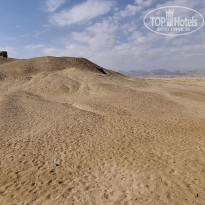 фото из отзыва ID 2668370