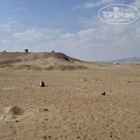 фото из отзыва ID 2668370