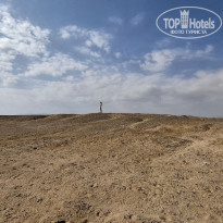 фото из отзыва ID 2668370