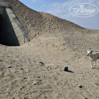 фото из отзыва ID 2668370