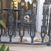 фото из отзыва ID 2669439