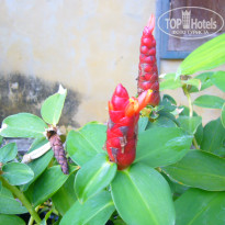 фото из отзыва ID 2669434