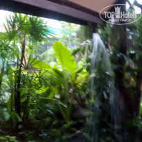 фото из отзыва ID 2669434