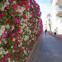 фото из отзыва ID 2667570