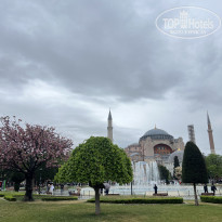 фото из отзыва ID 2669577