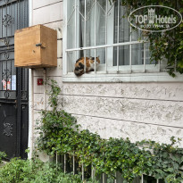 фото из отзыва ID 2669577