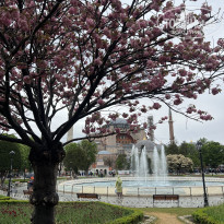 фото из отзыва ID 2669577