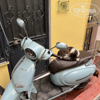 фото из отзыва ID 2669577