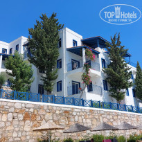 фото из отзыва ID 2669608