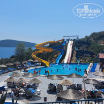 фото из отзыва ID 2669608