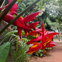фото из отзыва ID 2669661