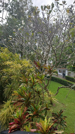 Hotelier's photos Rainbowswell Beach Resort
