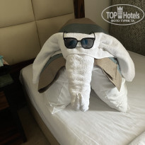 фото из отзыва ID 2669681