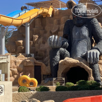 фото из отзыва ID 2669681