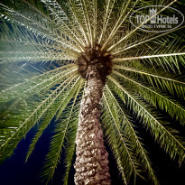 фото из отзыва ID 2669745