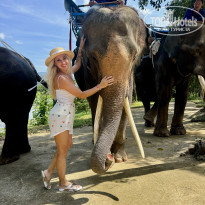 фото из отзыва ID 2669748