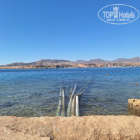 фото из отзыва ID 2669766