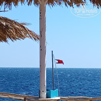 фото из отзыва ID 2669798