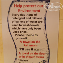 фото из отзыва ID 2669798