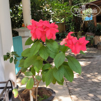 фото из отзыва ID 2669903