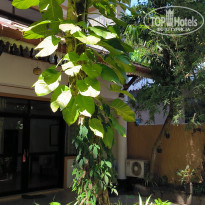 фото из отзыва ID 2669903