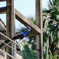 фото из отзыва ID 2669903