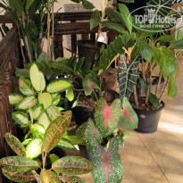 фото из отзыва ID 2669903