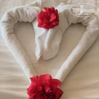 фото из отзыва ID 2669918