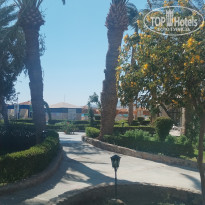 фото из отзыва ID 2669976