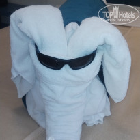 фото из отзыва ID 2669976