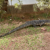 фото из отзыва ID 2669979